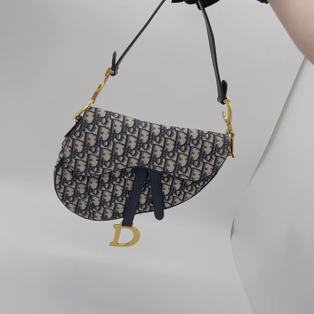 Diorama bag Archives - STYLE DU MONDE