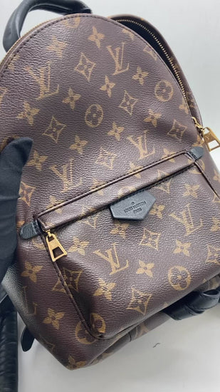 Louis Vuitton LV Palm Springs Backpack Small – allprelovedonly