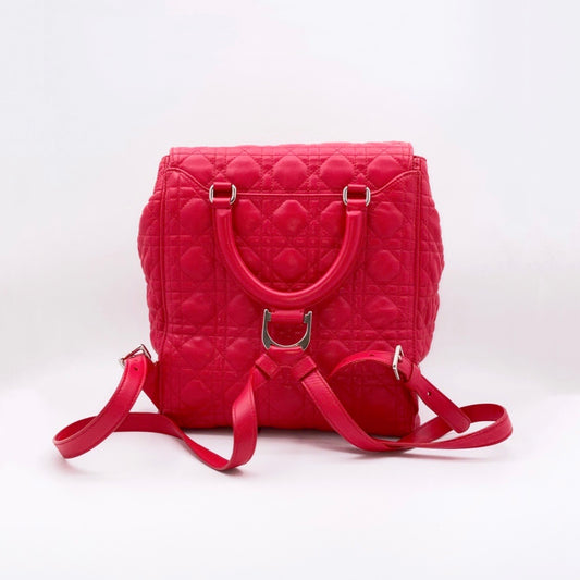 Preloved Christian Dior Stardust Backpack Bag