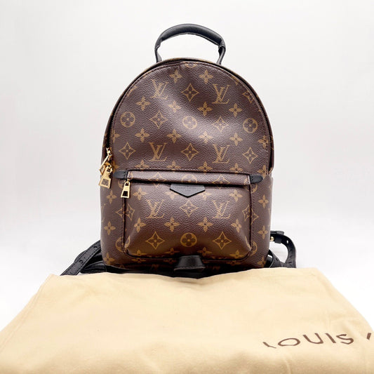 Louis Vuitton LV Palm Springs Backpack Small